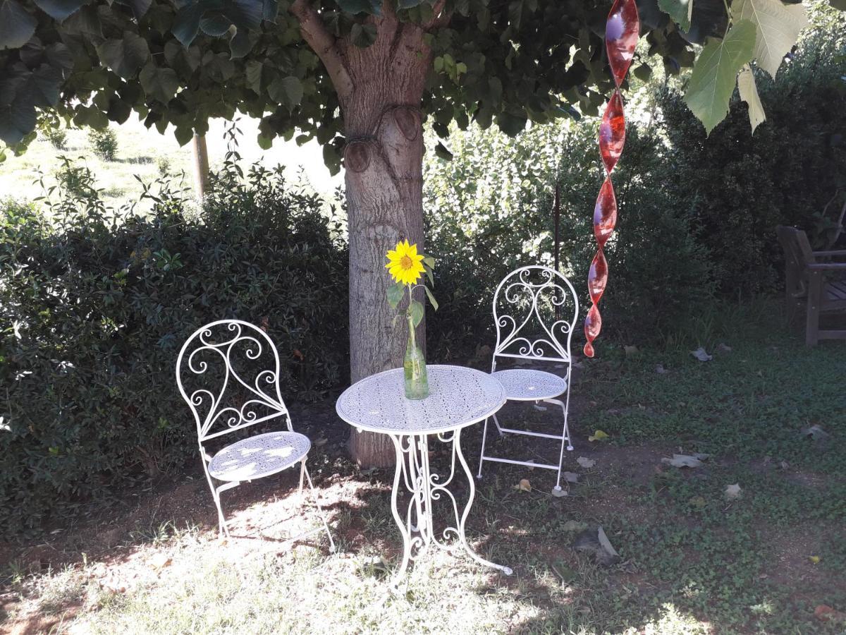 آستي B&B La Riundela المظهر الخارجي الصورة